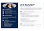 design a professional CV resume in canva